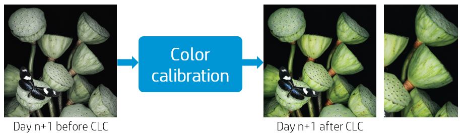 HP Latex color calibration
